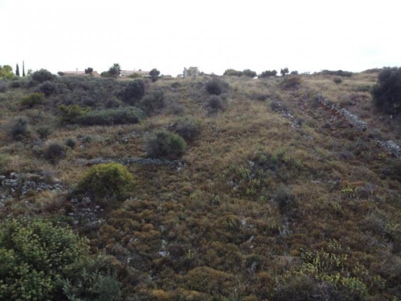 Douliana Kreta, Douliana : Atemberaubendes Grundstück mit Meerblick zu verkaufen Grundstück kaufen